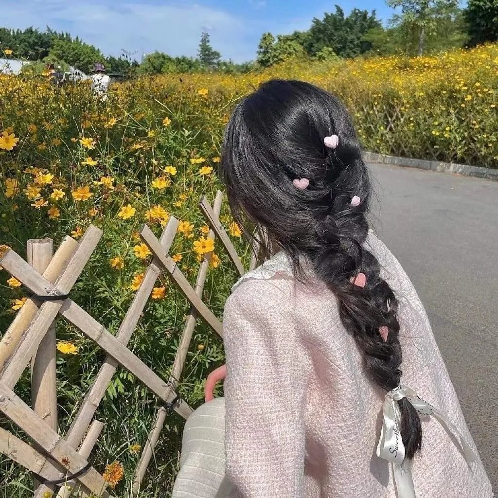 蟹群大比拼：滨海步道之战